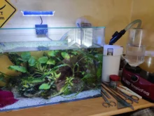 EXTERNAL-FILTER Sunsun-Tank Mini Aquarium HW602 HW603B/HW603 110-240V