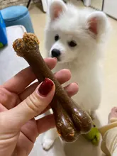 Puppy-Toys Chew-Game Dental-Care Dogs Dog-Bone Benepaw Small Natural Large Medium Pet