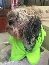 Pet-Dog-Cat-Towel Bathrobes Blanket Puppy Pets-Drying Super-Absorbent Cute with Hoodies