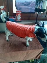 Dog-Down-Jacket French-Bulldog-Vest Pet-Chihuahua-Coat Dogs Reflective Reversible Winter