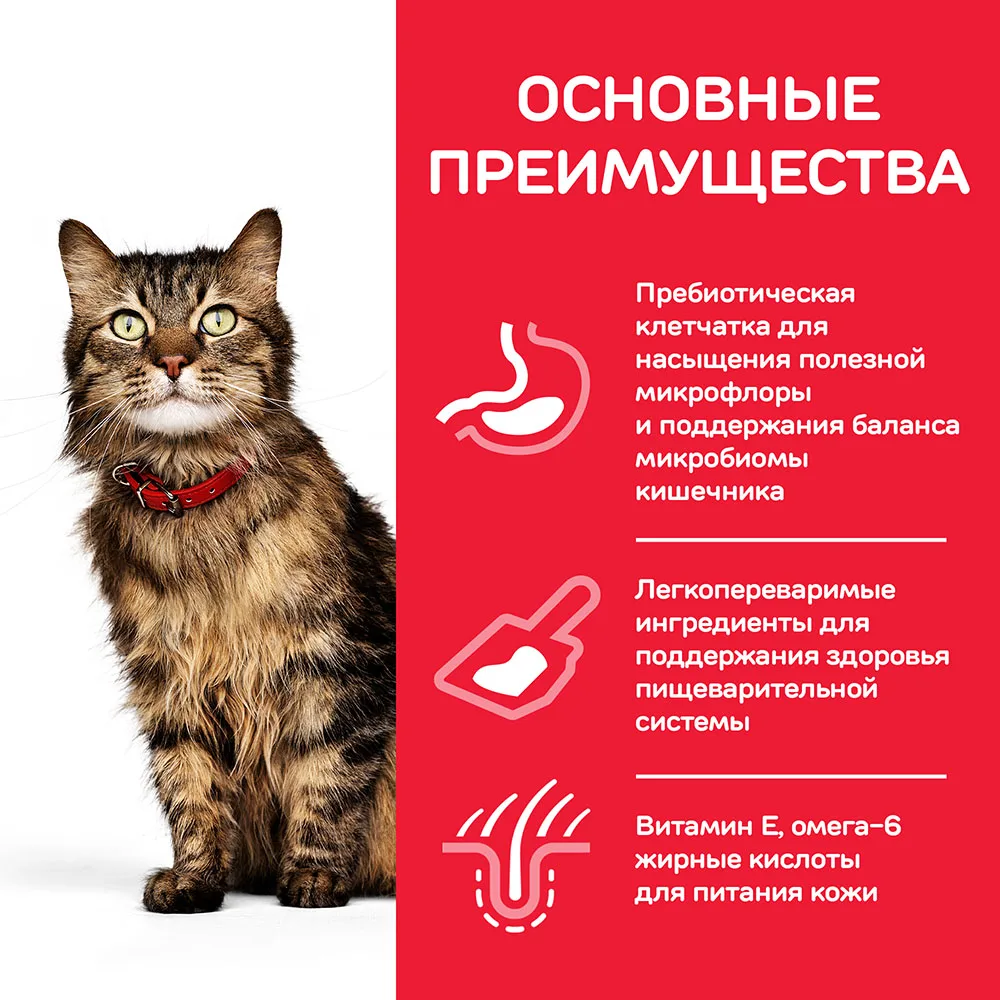 Hill's Science Plan Sensitive Stomach& Skin сухой корм для кошек для здоровья к