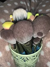 Foundation Eyeshadow Blush Synthetic-Hair-Brushes Iris-Series Beauty Mydestiny Set-Powder