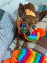 Pet-Puppy-Accessories Socks Hats Cat-Products Dogs-Knitted Small Chihuahua Little Winter