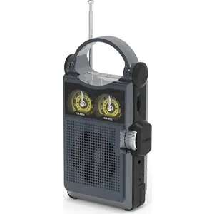 Радиоприемник Ritmix RPR-333 black | Электроника