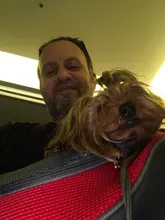 Mochila de policarbonato para perros y gatos, bolsa de hombro de viaje con malla frontal, portador de Animal PEQUEÑO, 1 unidad