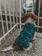 Ropa vaquera de XS-2XL para perro, abrigo para perros, ropa de cachorro, pantalones vaqueros para perro, chaqueta, chaleco abrigo para perro, trajes para cachorro, ropa para gato