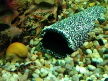 Aquarium-Decoration SHELTER-HOUSE Fish-Tank-Decor Simulation-Stone Fish-Shrimps Ceramic