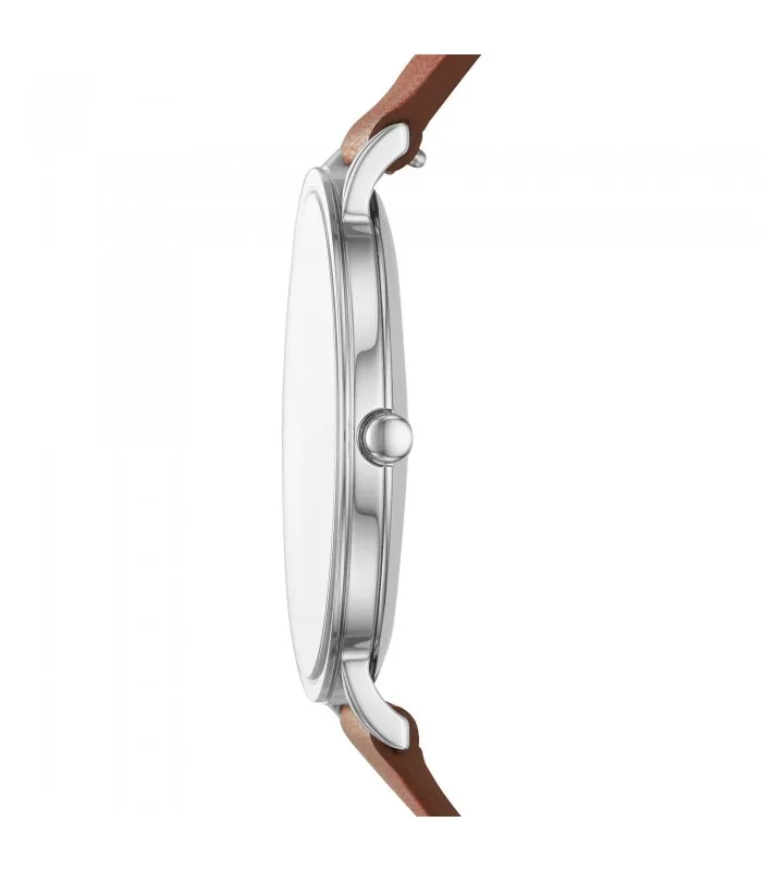 Мужские часы skgen hgen SLIM ONLY TIME SKW6446