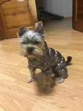 Ropa de abrigo para Perros Bulldog Francés, Ropa de cachorro, Chihuahua, yorkie, abrigo de perrito mascota, chaqueta, perros, mascotas
