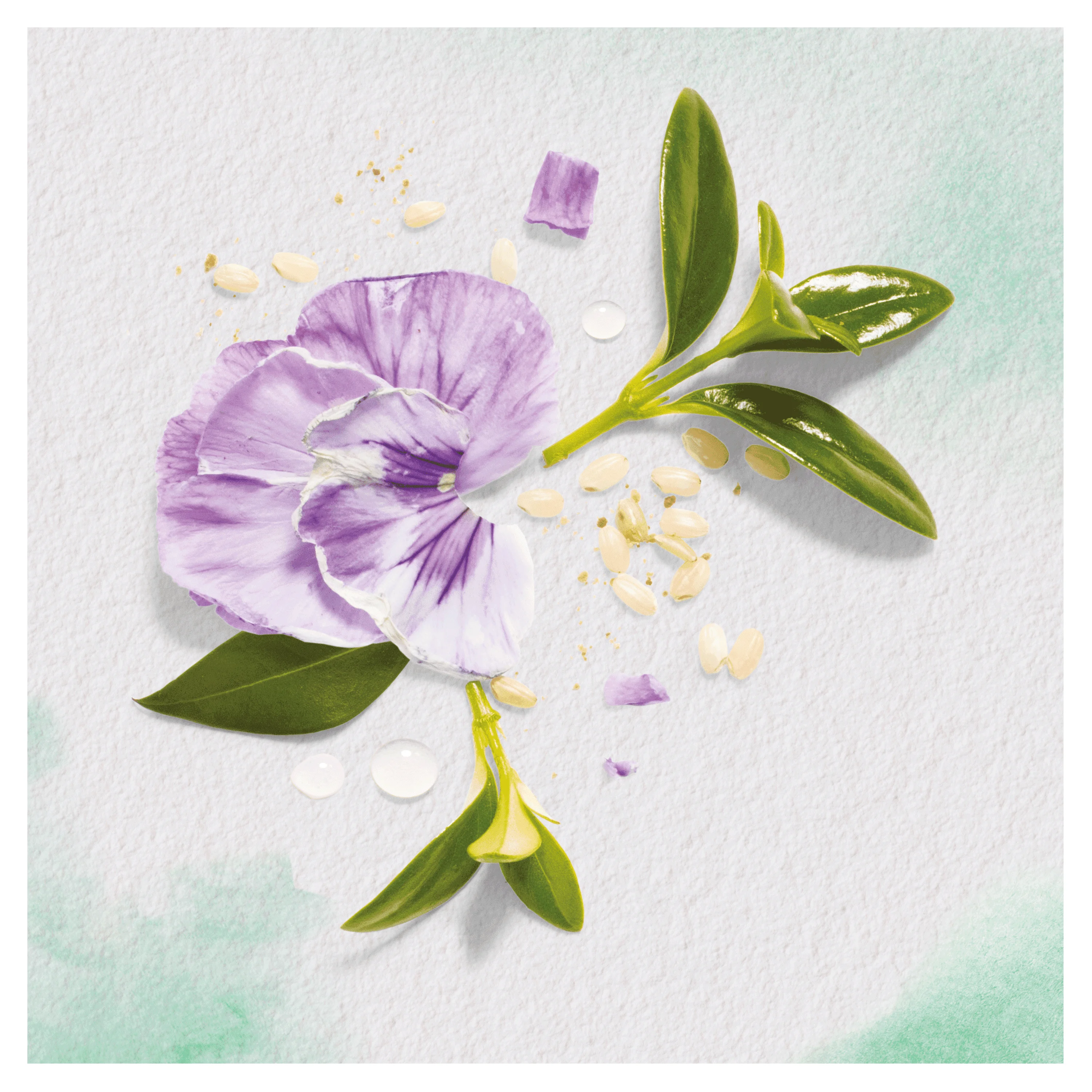 HERBAL ESSENCES Бальзам-ополаскиватель Пассифлора и Рисовое молоко 180мл
