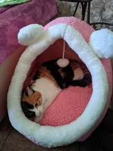 Bed House Nest Sleeping-Mats Cat-Cave Kitty Animal Indoor Cute Winter-Products Cats Dogs