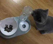 Food-Bowl Raised-Stand Pet-Cat-Bowl Water-Fountain Automatic-Feeder Drinking For Cats