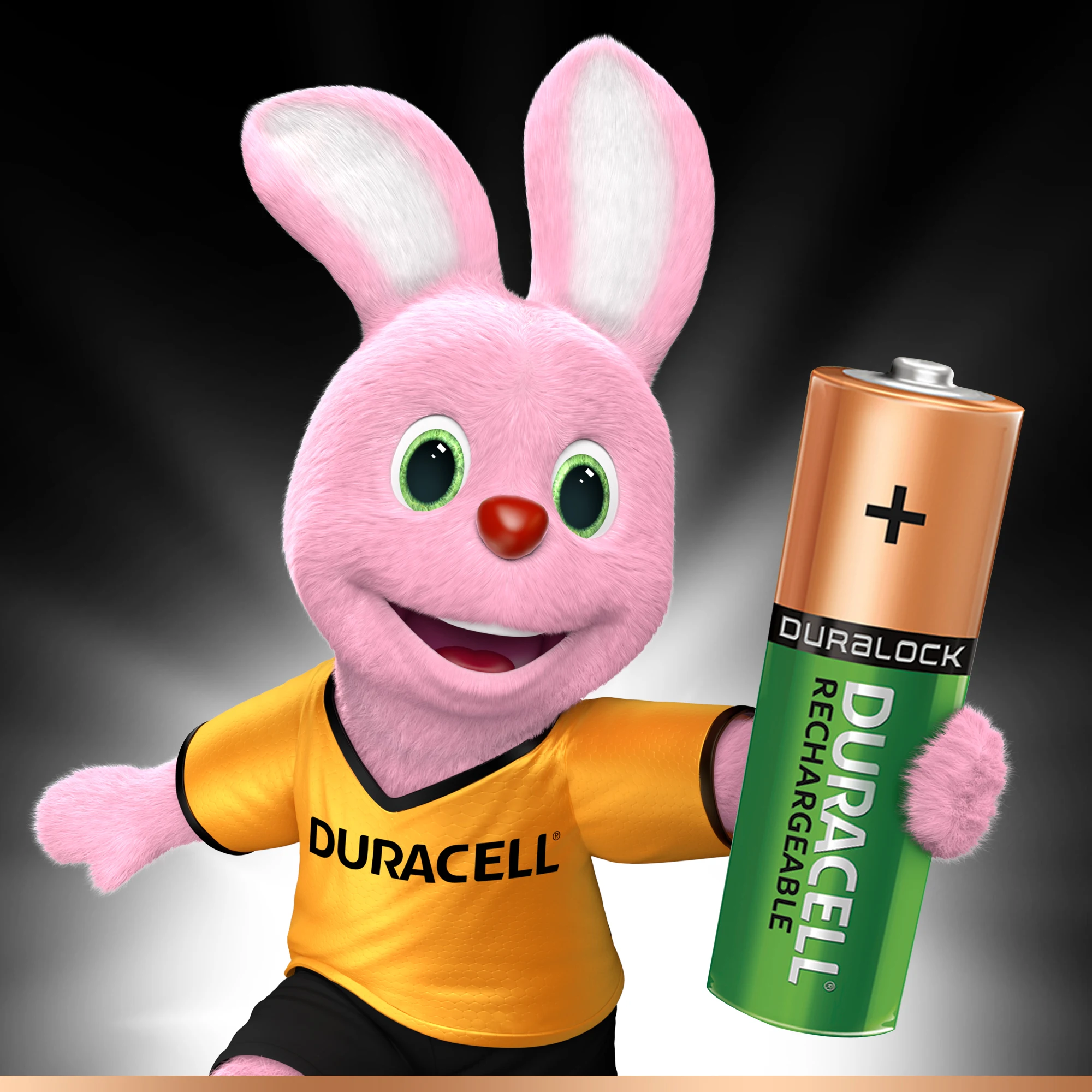 DURACELL Аккумуляторы предзаряженные никель_металлгидридные AA HR06 2500mAh 2шт