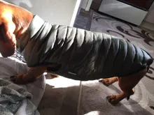 Abrigo cómodo para perro mascota, chaqueta acolchada de algodón, Color sólido, Simple, cálido para invierno, chaqueta acolchada para cachorro, abrigo suave sin mangas
