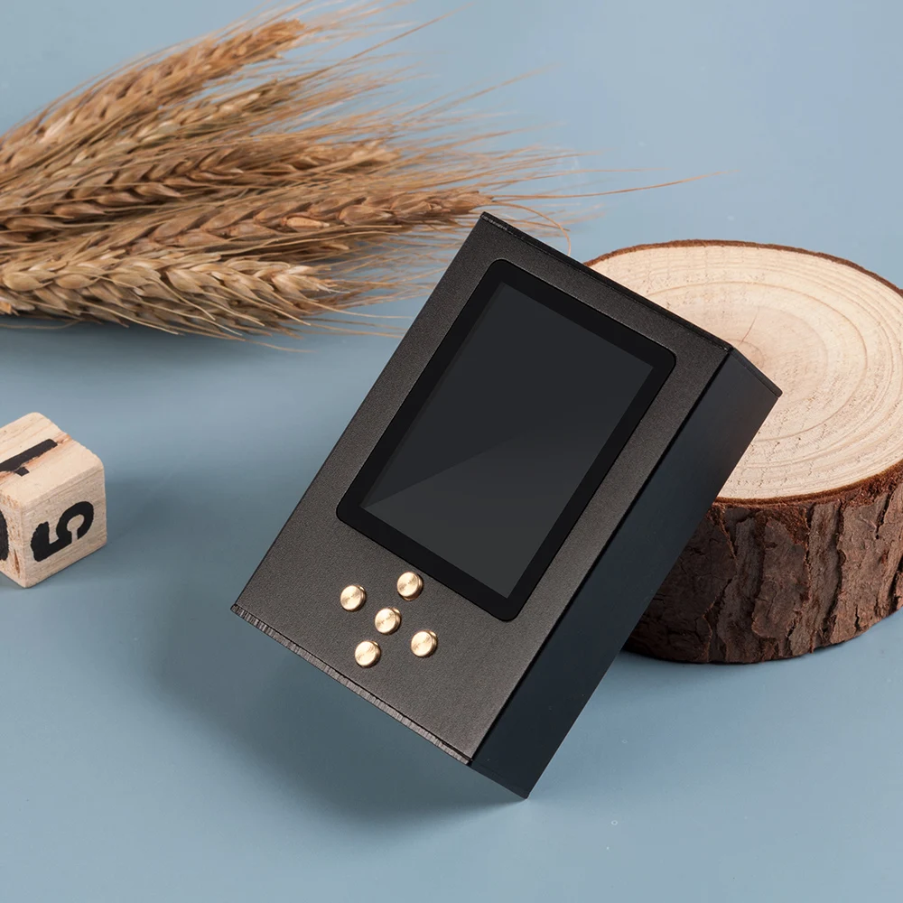 New Zishan DSDs  AK4499 Professional Music Player