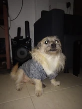 Pet-Dog-Clothes Jacket Coat Puppy Dogs Chihuahua Cotton for Warm Thick And Thin