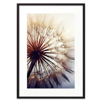 

Poster in the frame dandelion at dawn