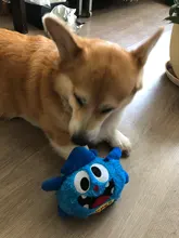 Ball-Toys Entertainment Puppy Interactive-Bird Plush-Giggle Crazy Automatic Electronic