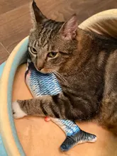 Muñeco eléctrico de peluche con forma de pez en movimiento para niños, juguete interactivo con carga USB para mascotas