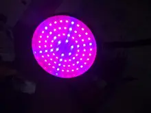 Grow-Light Lamps Timer Flowers Desktop-Clip LED Phyto Full-Spectrum For Plants DC5V USB