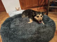 Cama de perro caliente de lana ronda perro perrera casa larga felpa invierno mascotas camas para perros medianos grandes perros gatos cojín del sofá suave esteras