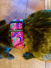 Collar ancho de nailon con estampado para perros, Collar ajustable para cachorros, medianos y pequeños, para Bulldog Francés, Pitbull