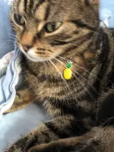 Collar de gato con cascabel para perros pequeños, Collar ajustable de seguridad con diseño de frutas, colgante de piña