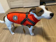 De invierno para mascotas ropa de perro francés mascota Bulldog cálido Chaleco con arnés abrigo perro ropa chaleco pequeño mediano para perros