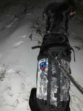 Vest Harnesses Pet-Training Dogs Military-Working Tactical Medium Nylon Durable for Large