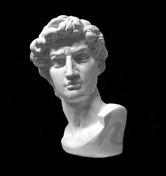 

Manual gypsum training head of David Michelangelo 30*28*46