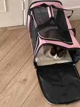 Dog-Carrier-Bag Travel-Bags Dog-Backpack Transport Soft-Side Airline-Approved Cats Small