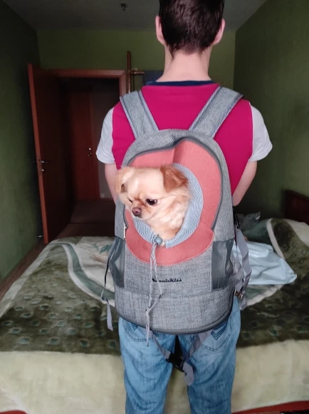 High-Quality Mini Pet Backpack - DogMEGA photo review