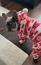 Halloween-Costume Christmas-Dog Hoodies Dogs-Coat Small Chihuahua Winter for Cat