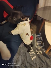 Costume Dog Shirt Dress Christmas Cat-Coat Couple for Small Cats Terrier Ropa Para Perro