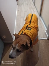 MySudui Medium Big Dog Winter Clothes For Dogs Pets Clothing Reflective Dog Jackets Outdoor