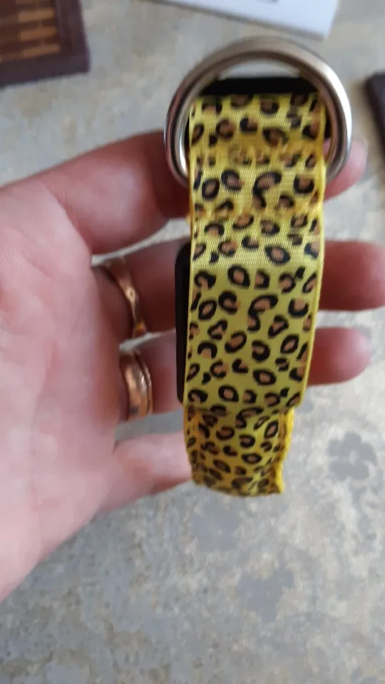 Leopard Led Dog Collar Rechargeable | Glow in The Dark Dog Collar photo review