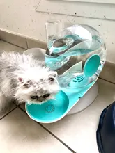 Dispensador de agua automático con forma de caracol para gatos, fuente para mascotas, tazón para beber grande, sin electricidad