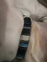 Collar de nailon para perro, personalizado con placa de etiqueta de identificación grabada para mascota, reflectante, perros pequeños, medianos y grandes