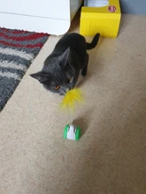 Vaso Swing juguetes para gatos gato interactivo equilibrio coche gato juguete de persecución con Catnip para mascotas productos para Dropshipping. Exclusivo.