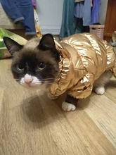 Ropa de abrigo para Perros Bulldog Francés, Ropa de cachorro, Chihuahua, yorkie, abrigo de perrito mascota, chaqueta, perros, mascotas