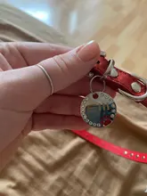 Puppy-Cat-Collars Rhinestone Dogs Small Bling Chihuahua Pug-Yorkshire Medium Adjustable