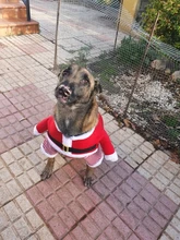 Costume Cat Jacket Christmas Dogs Small Santa-Claus Winter Large for Funny Dog-Coat Warm