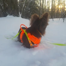 Adjustable Harness Dog-Accessories No-Pull-Vest Truelove Large Padded Pet-Dog Outdoor-Sport