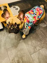 Jacket Costume Coat Bulldog-Clothes Small Dog Pug French Winter Pet-Dog Warm Cute 