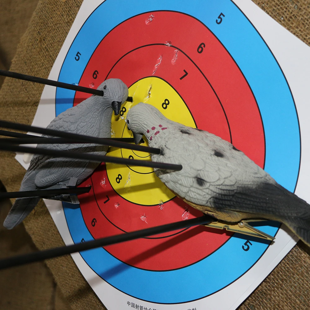 3/6pcs 3D Archery Target Shooting Target EVA Foam Pigeon 3D Target Empty  Hollow Inside For Hunting Training Practice Game| | - AliExpress