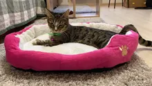 Mats Blanket Cushion Bed-House Sofa Pet-Beds Dog Animal Cute Basket-Supplies Cat Big