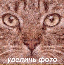 False-Mouse Simulation-Mice Noise-Playing-Toys Rabbit-Fur Kitten For Cats Pet-Supplies