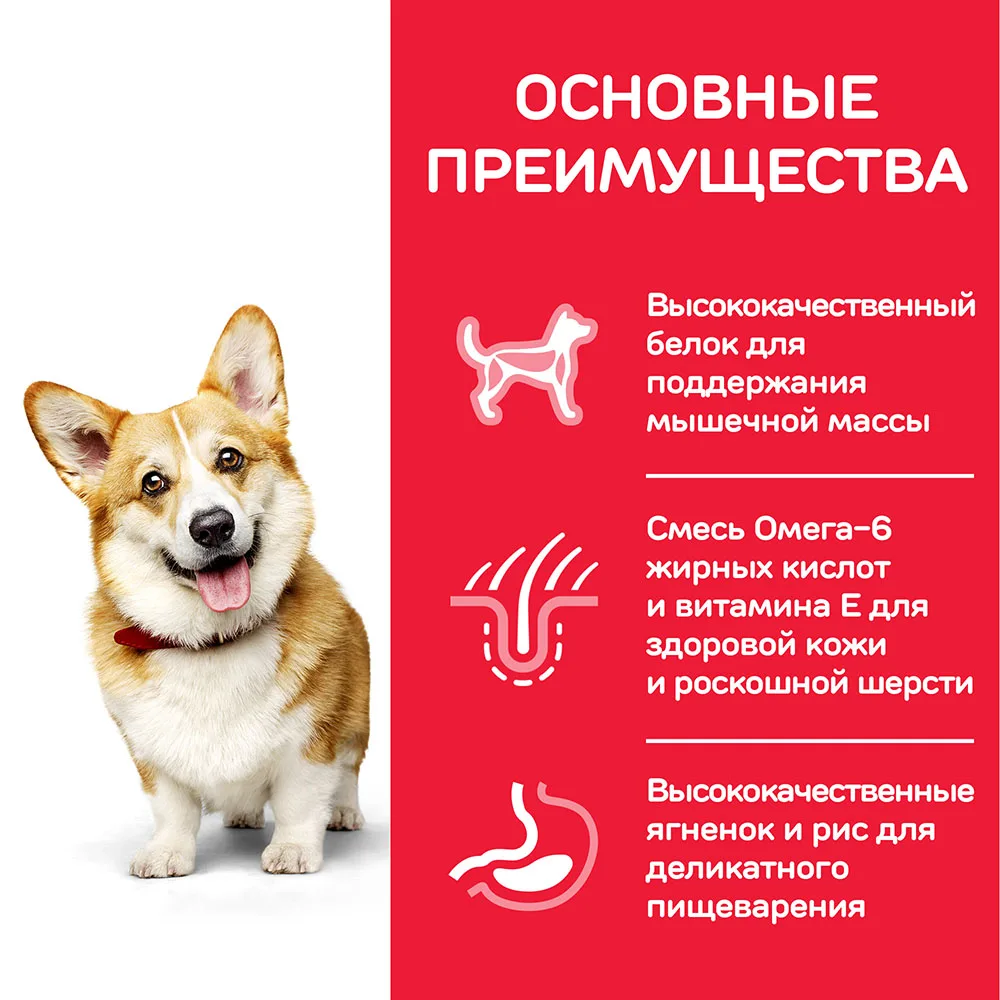 Hill's Science Plan Small& Miniature сухой корм для собак мелких и миниатюрных пород ягненок с рисом 300 г
