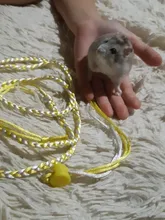 1,4 m 2,0 m ajustable correa de hámster arnés cuerda jerbo de algodón cuerda arnés Collar de guiar por rata ratón mascota hámster correa de jaula