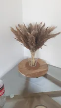 Pampas-Grass Reed Flower Wedding-Decoration Bunch Light-Color Natural Dried Christmas
